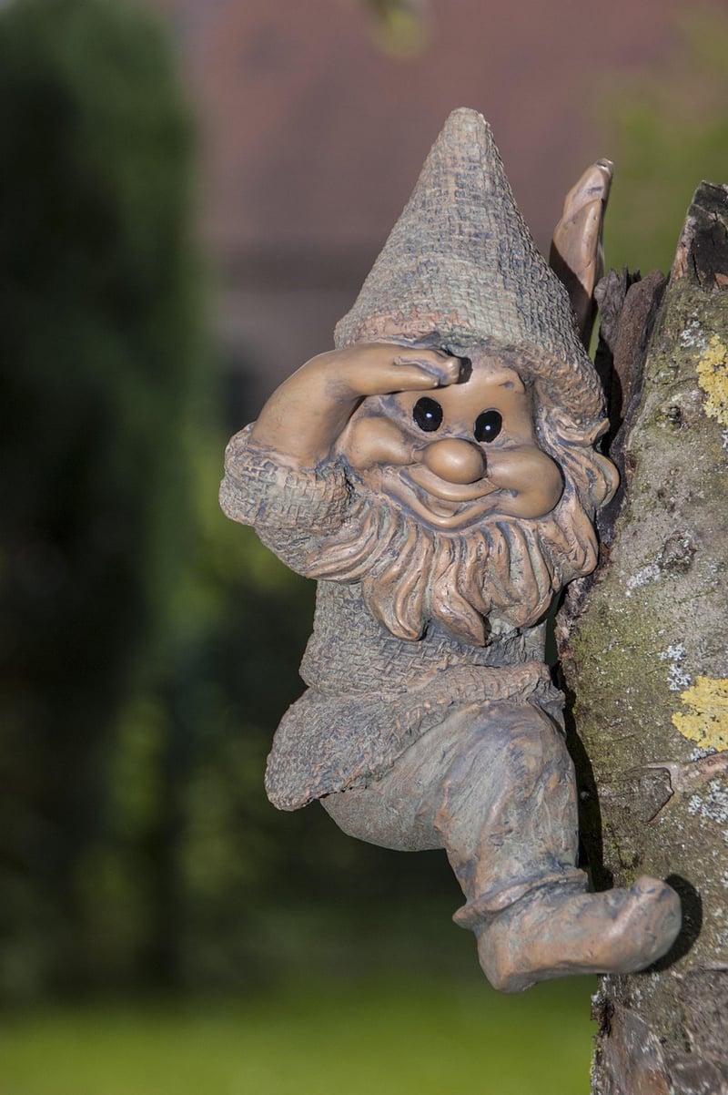 Gnome Plant Partnerships